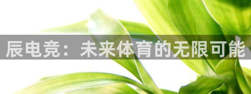 db电竞官网app