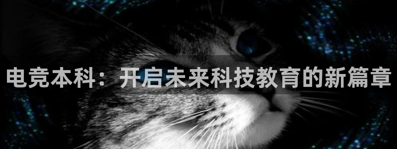 db电竞是什么软件啊