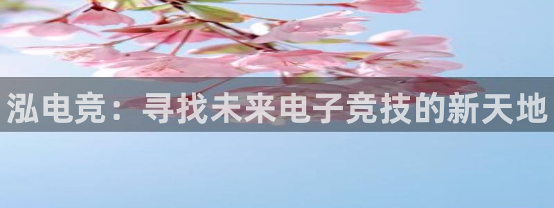 db电竞'
