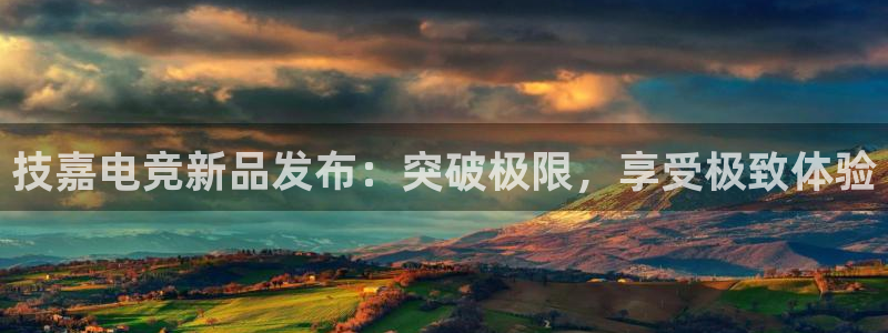 db电竞是什么软件