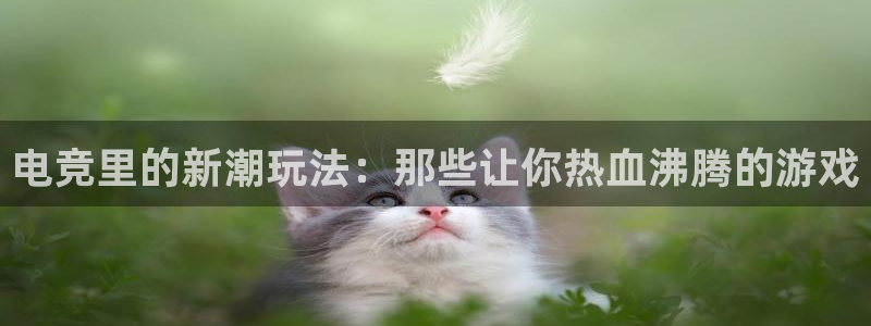 db电竞是什么软件啊