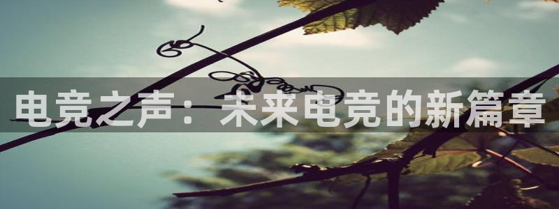 db电竞官网