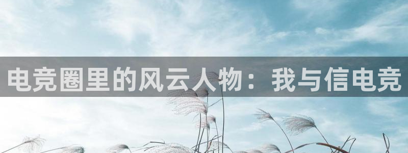 db电竞官网入口