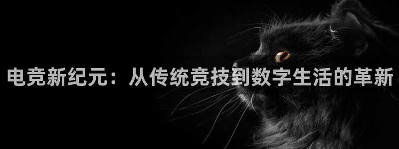 db电竞是什么软件
